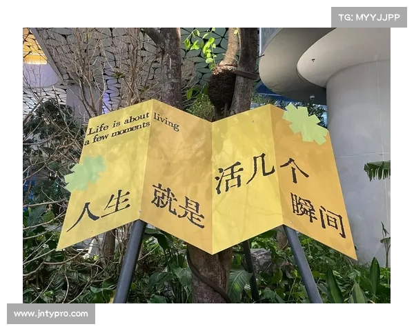 不可思议的人生瞬间:布莱斯用老爸表情包引发的欢乐时刻 不可思议的人生瞬间:布莱斯用老爸表情包引发的欢乐时刻
